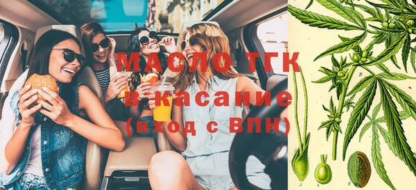 дживик Пестово