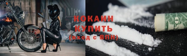 дживик Пестово