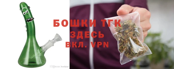 дживик Пестово